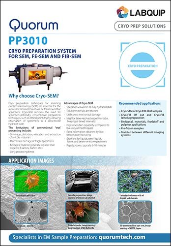 PP3010